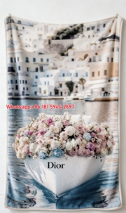 Luxury Dior Boat Print Flannel Throw D089